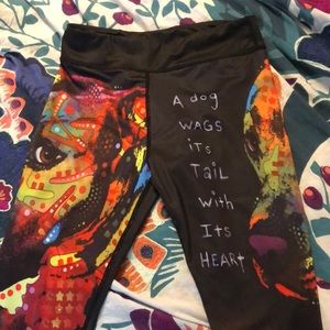 Pitbull leggings